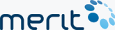 Merit Consulting